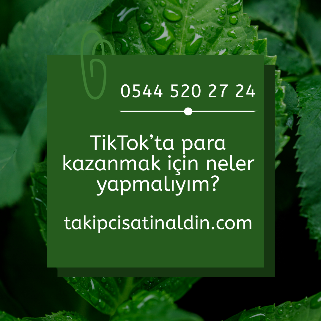 TikTok’ta para kazanmak için neler yapmalıyım?
