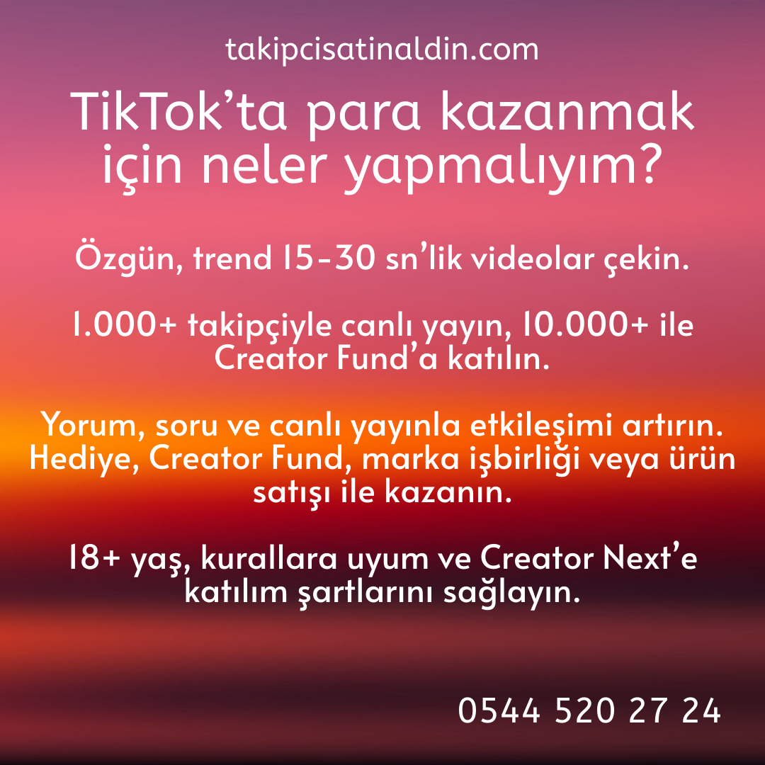 TikTok’ta para kazanmak için neler yapmalıyım?