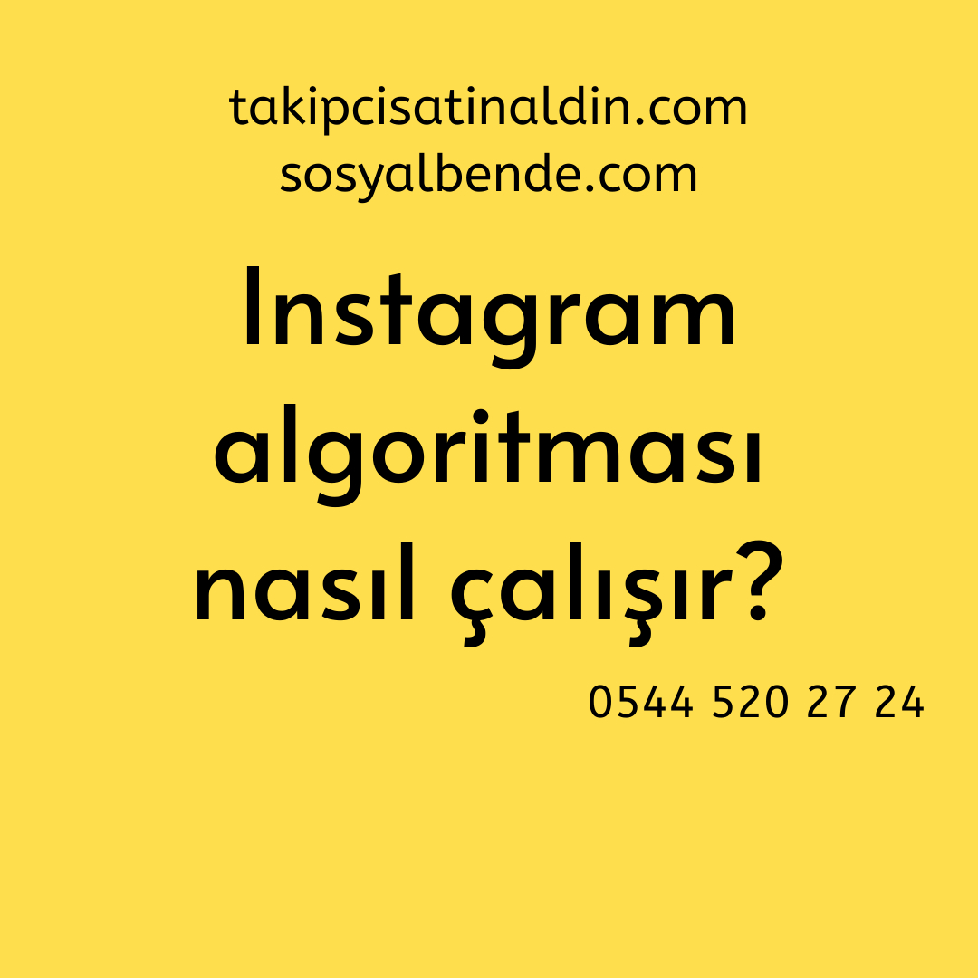 Instagram algoritması nasıl çalışır?