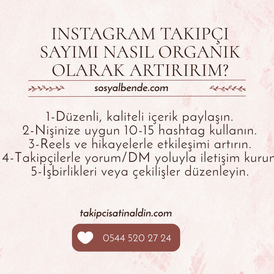 İnstagram takipçi sayımı nasıl organik olarak artırırım?